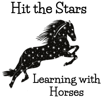 Hit the Stars Learning with Horses
